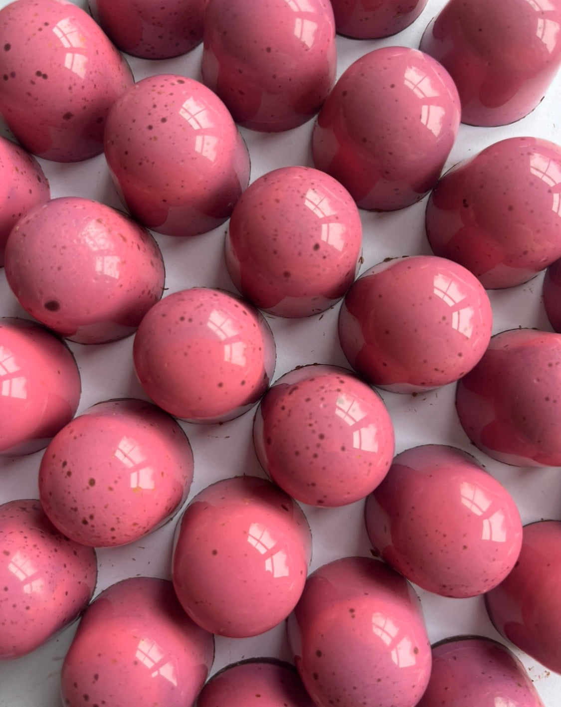 The not-valentines Collection