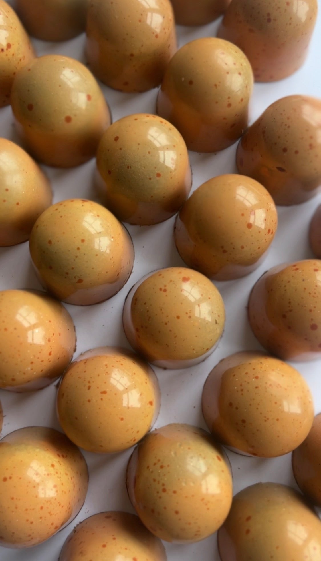 The not-valentines Collection