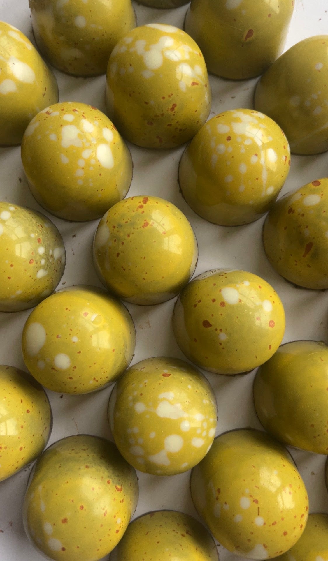 The not-valentines Collection